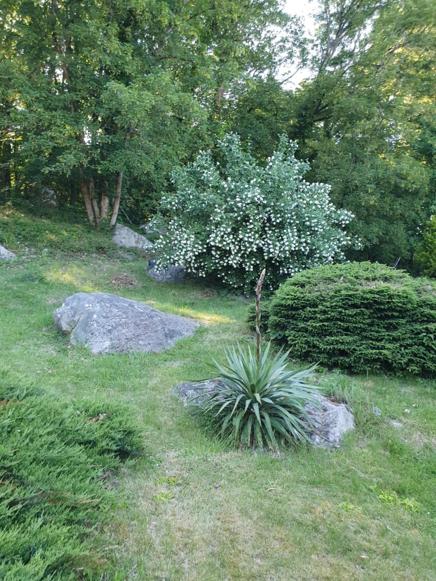 Le Jardin Des Roches Bed & Breakfast Moigny ภายนอก รูปภาพ